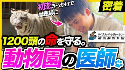 【1日密着】“命”の最前線。東武動物公園を支える獣医師の知られざる裏側